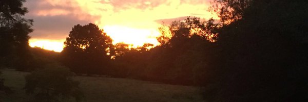 Helenboyle Profile Banner