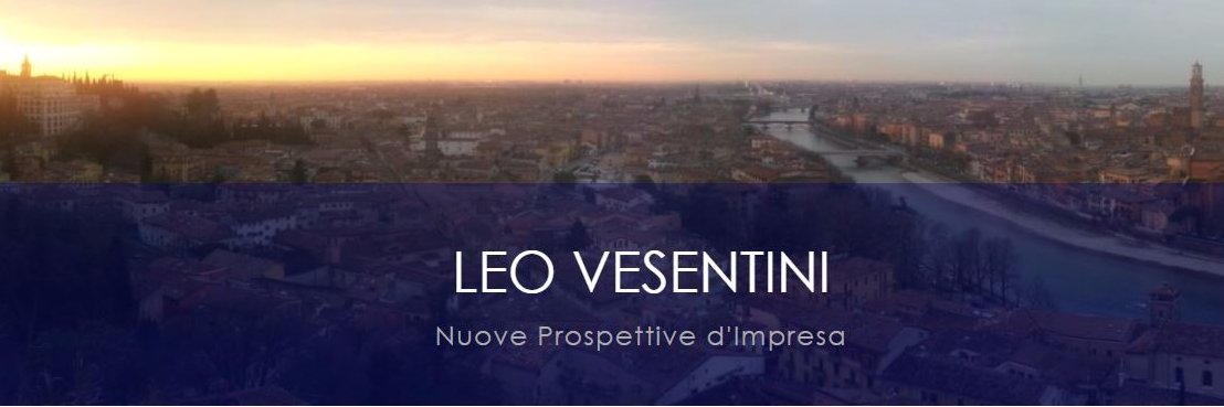 leovesentini's profile banner image