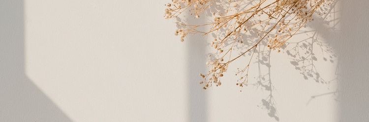 tikakastelia's profile banner image