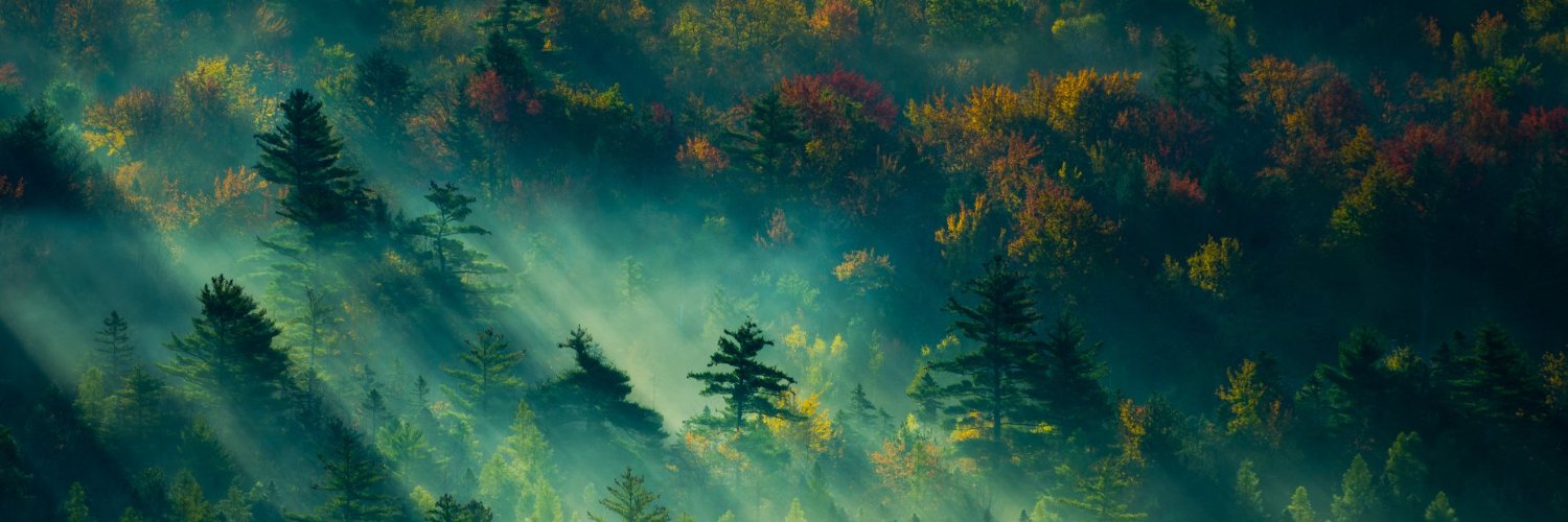 caiodnt's profile banner image