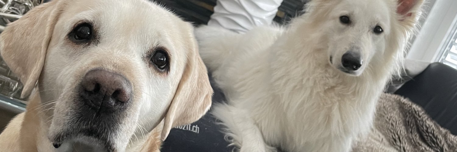paddygloor's profile banner image