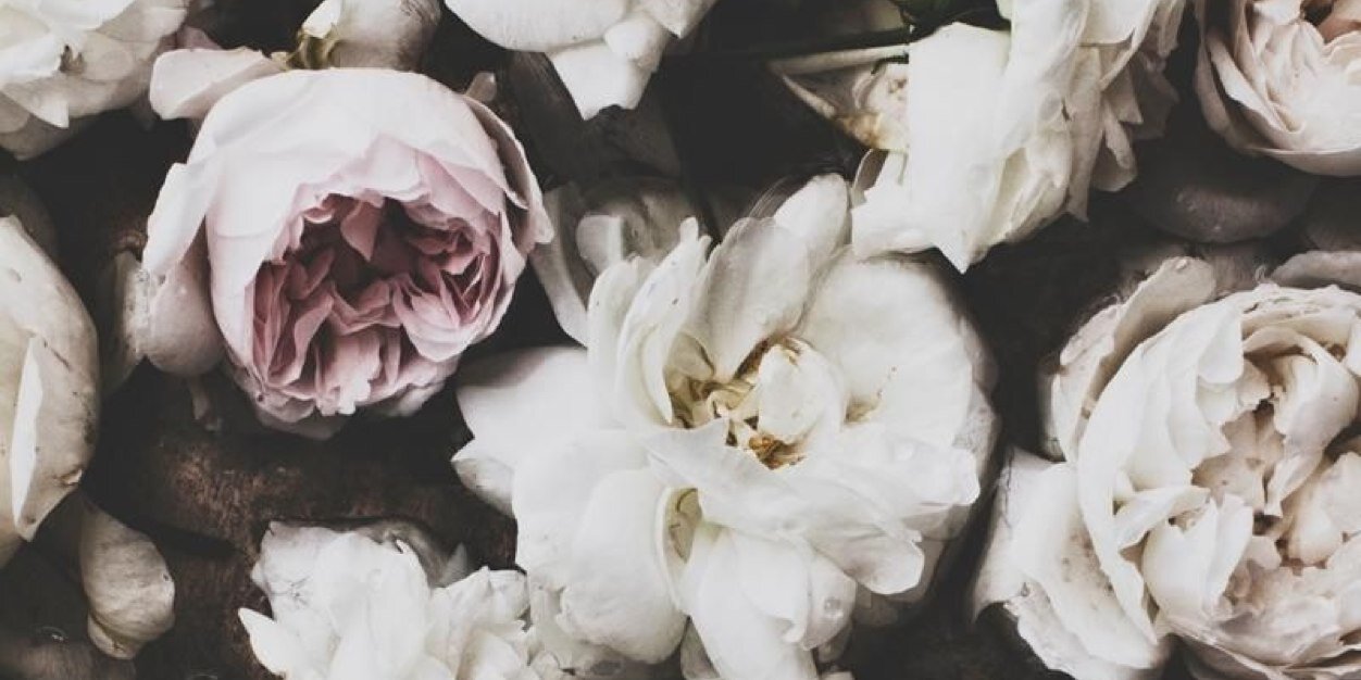 kbrewww's profile banner image