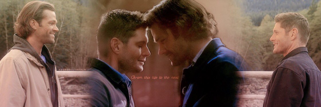 Feona 💛 🐧🏒 banner