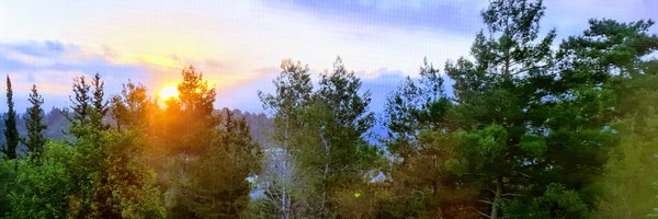 elkriefy Profile Banner