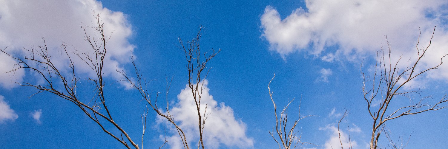shru_'s profile banner image