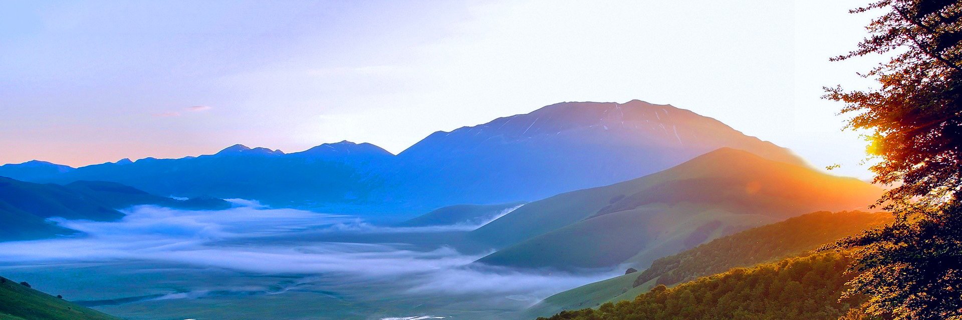 acsiwa's profile banner image
