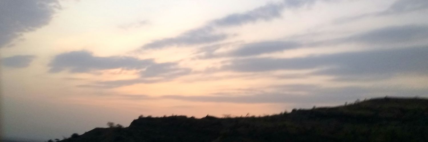 therecyclegirl's profile banner image