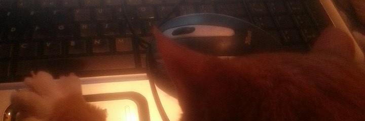 Hedwich van der Goot banner