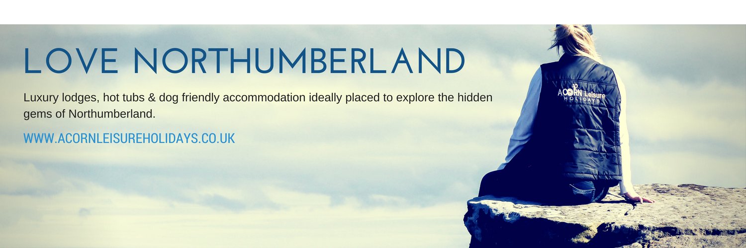 Melc29UK's profile banner image