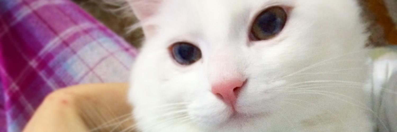 esUmaa's profile banner image