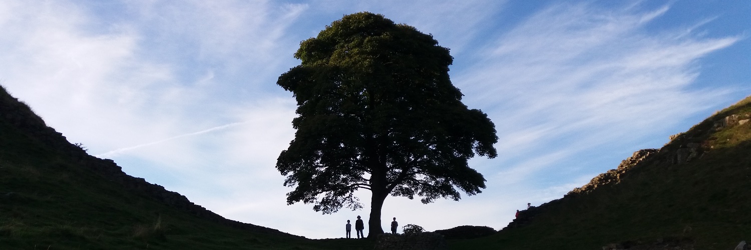 PeterAlanRoss's profile banner image