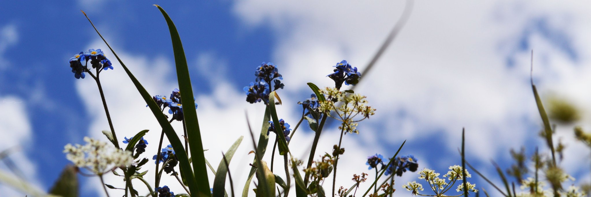 NomadShutterbug's profile banner image