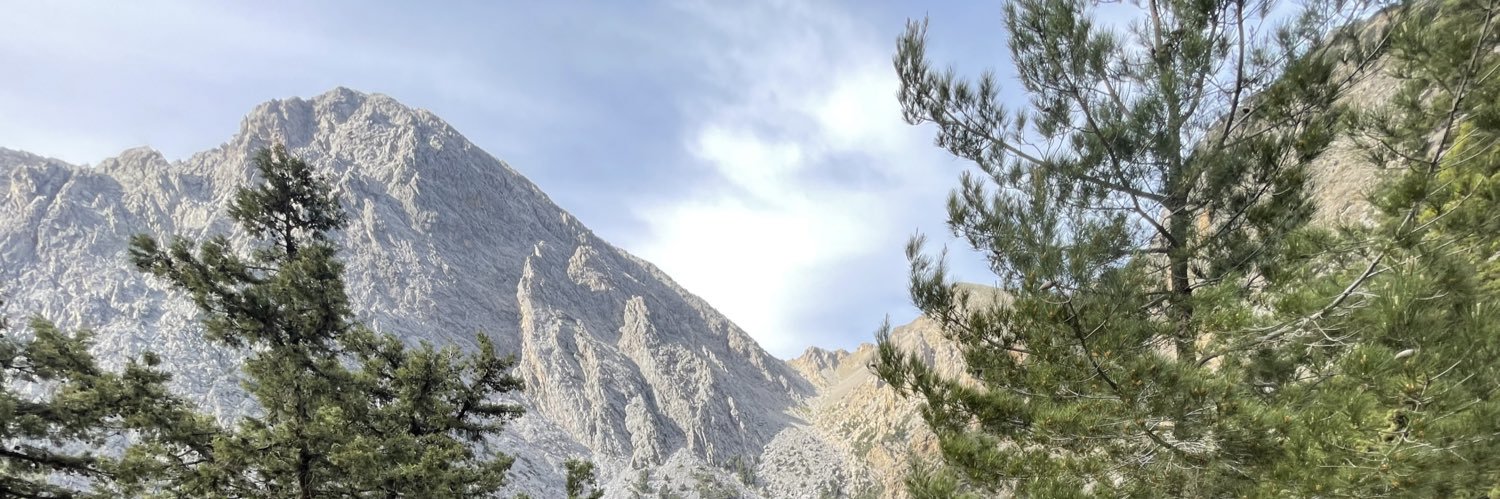 MartyTuff's profile banner image