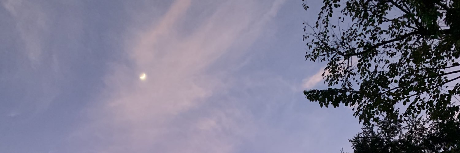 nickelcola's profile banner image