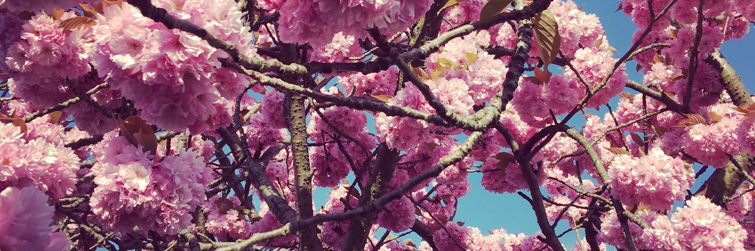 Lisa_Hayward's profile banner image