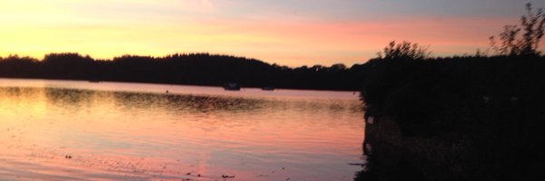 janicew99 Profile Banner