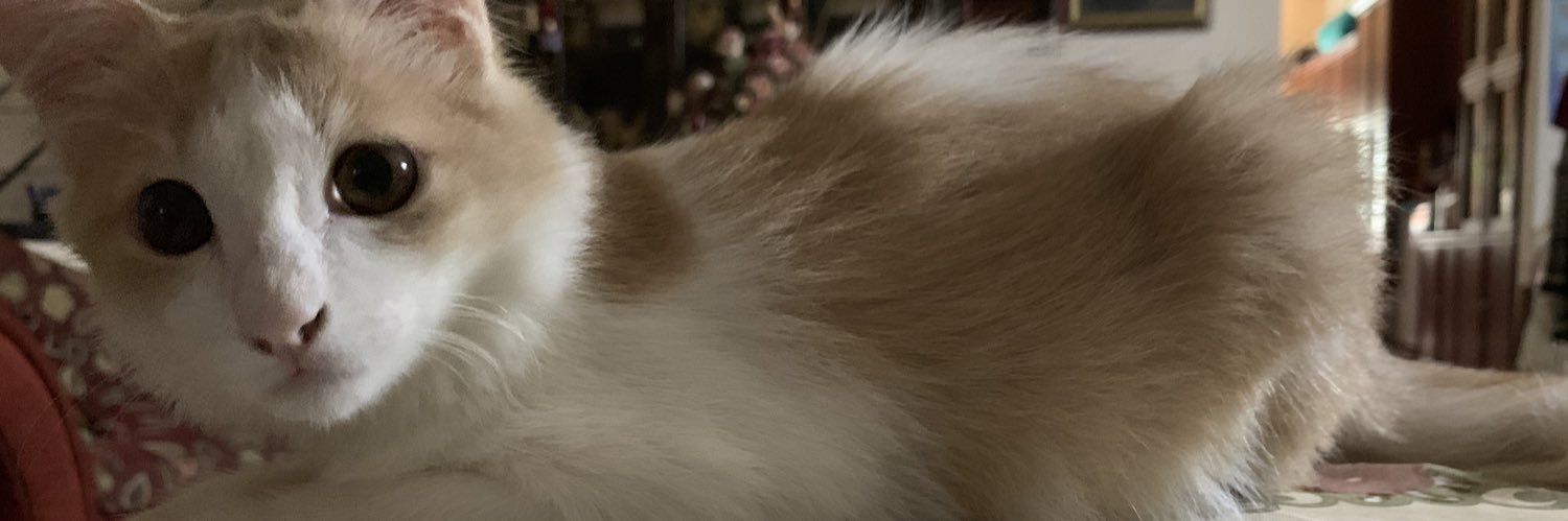kheiza's profile banner image