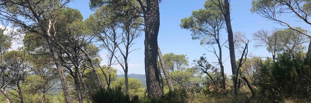 Joerg Rheinboldt banner