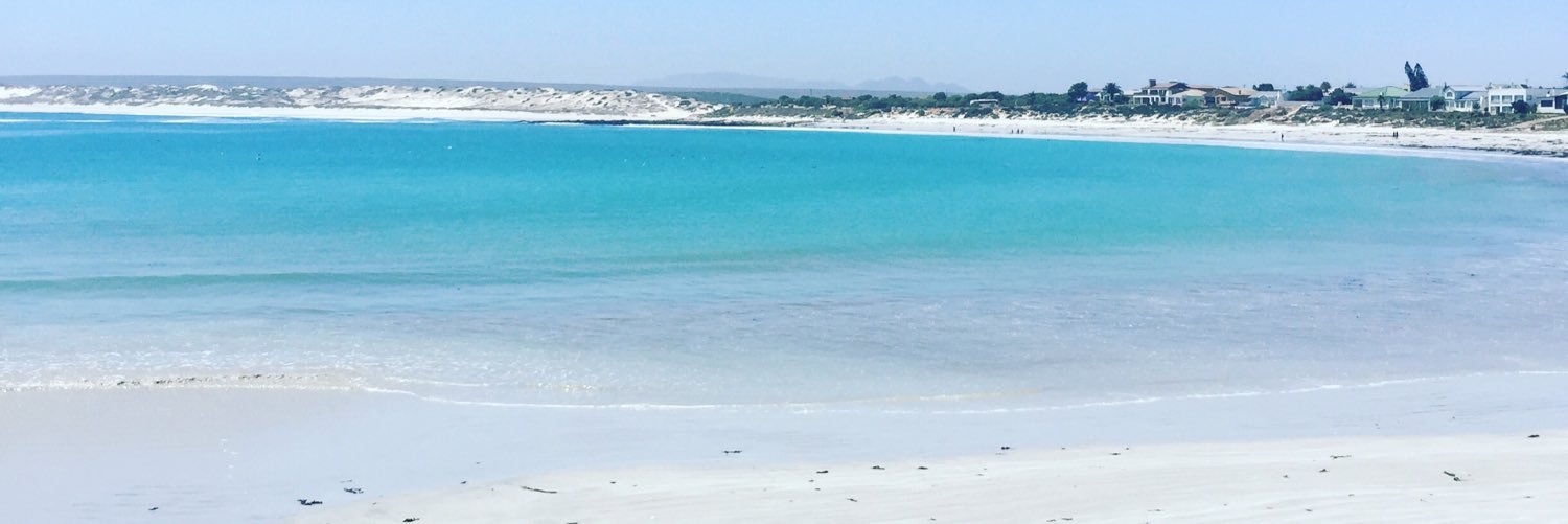 Johann Laubscher banner