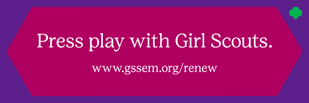 Girl Scouts of Southeastern Michigan (GSSEM) banner