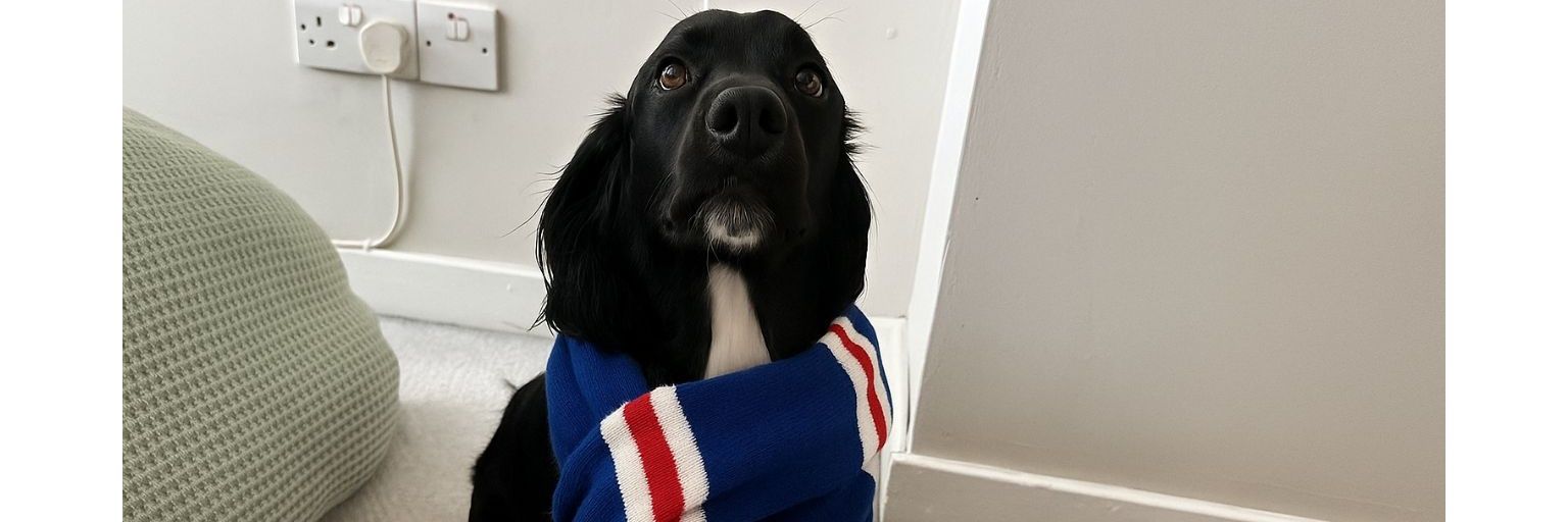 BenHeath7's profile banner image