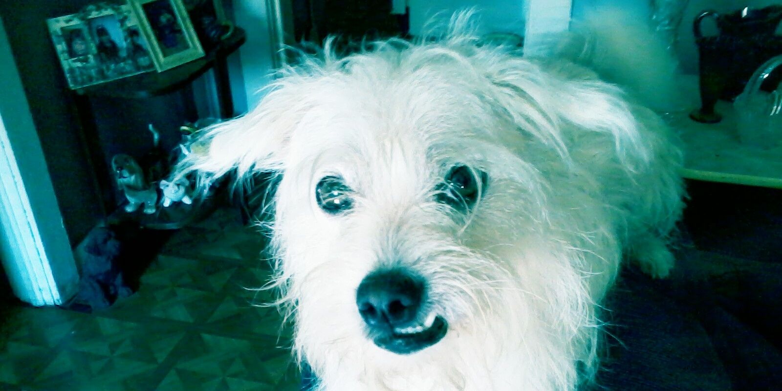 DebbieCarrie's profile banner image