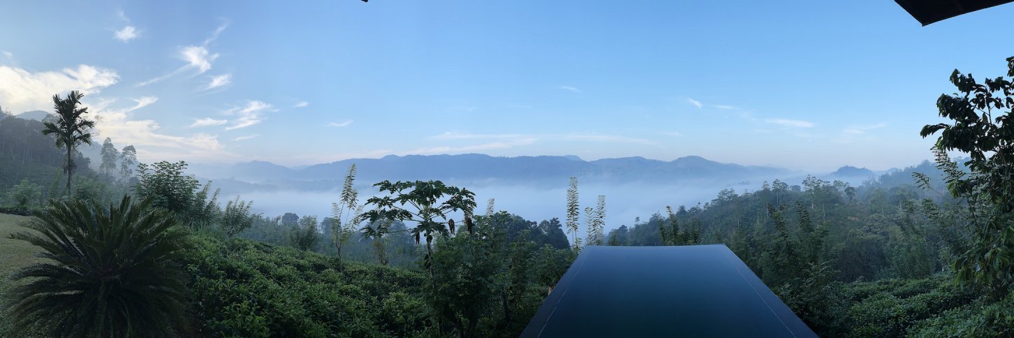 Lisa Barrett •◡• banner