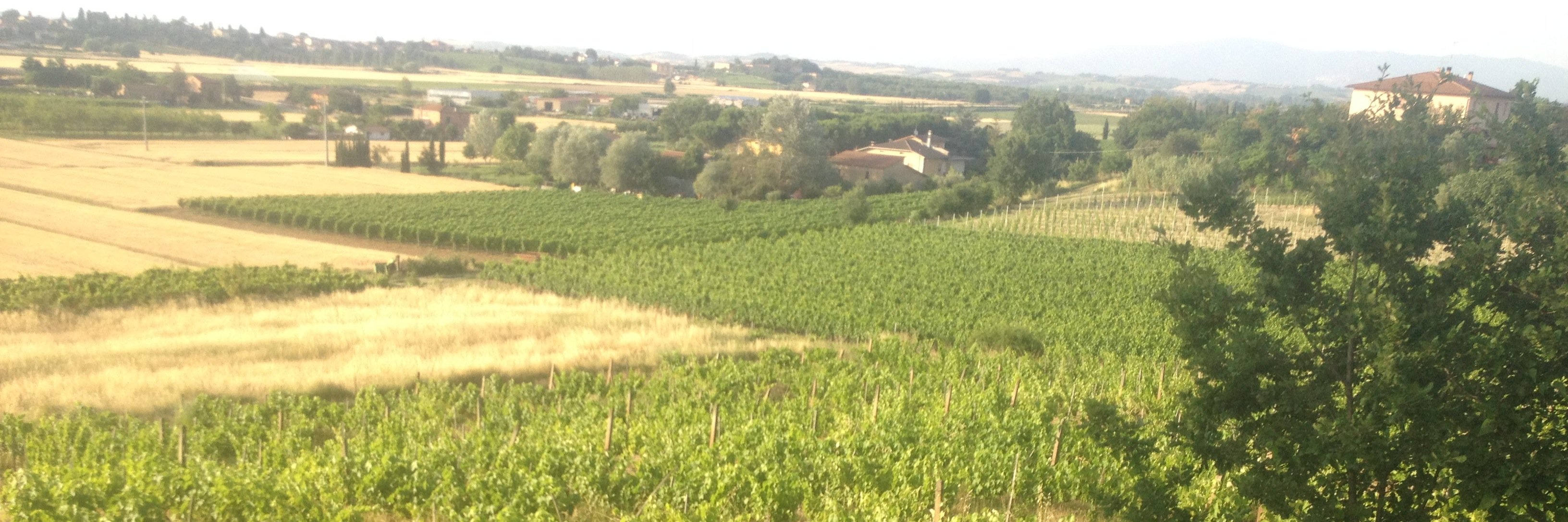 P_Fabretti's profile banner image