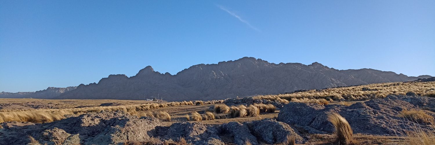 mguadab's profile banner image