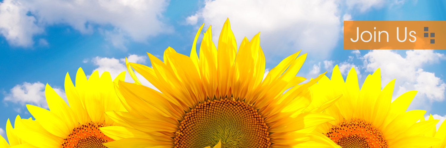 UKMedixdotcom's profile banner image