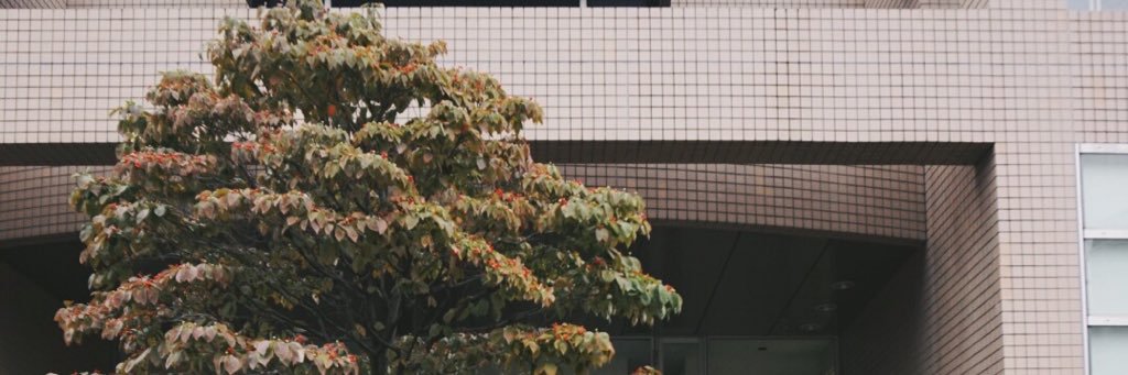 brigittajulia's profile banner image