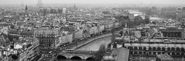 peteangelo Profile Banner