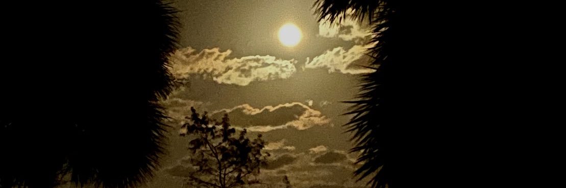 tayonfer's profile banner image