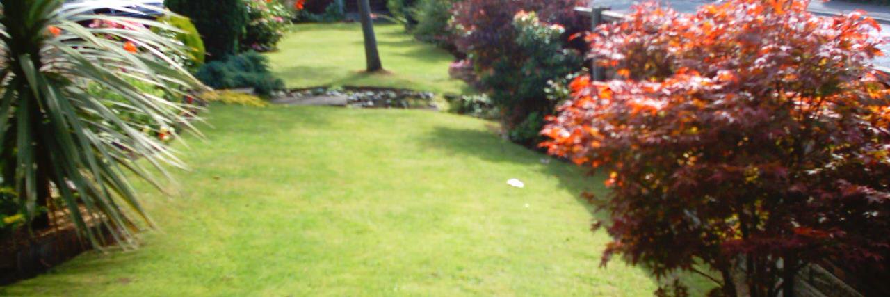 Frances Heaton banner