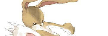 hamu8810's profile banner image