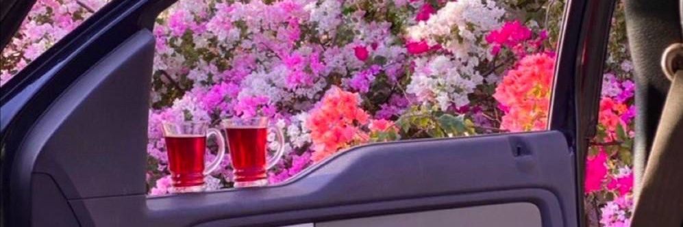 رشا banner