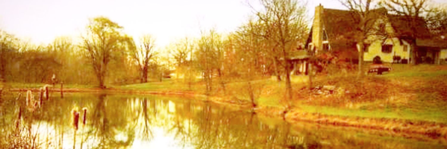 Suburban_Steph's profile banner image