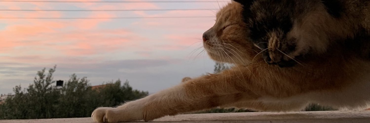 notdraf's profile banner image