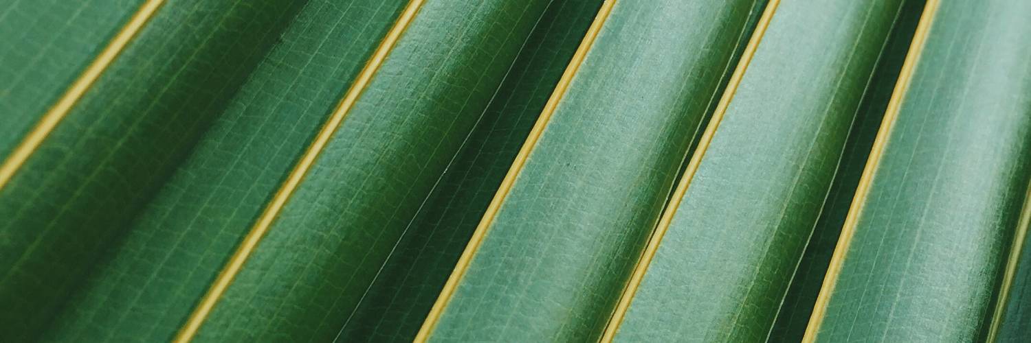parallelpath's profile banner image