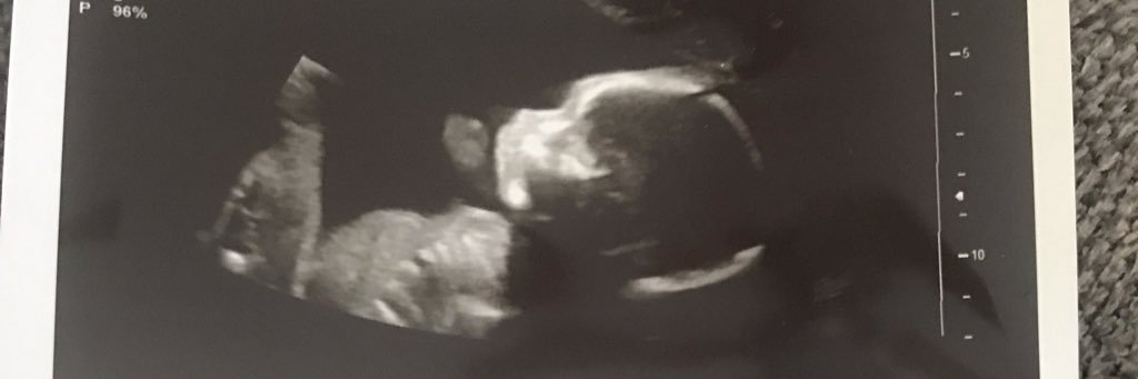 NicoleeBee_'s profile banner image