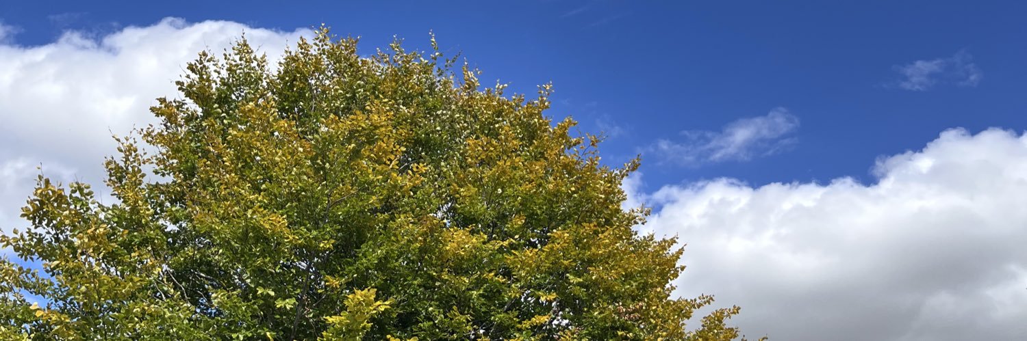 HeidiJMay's profile banner image