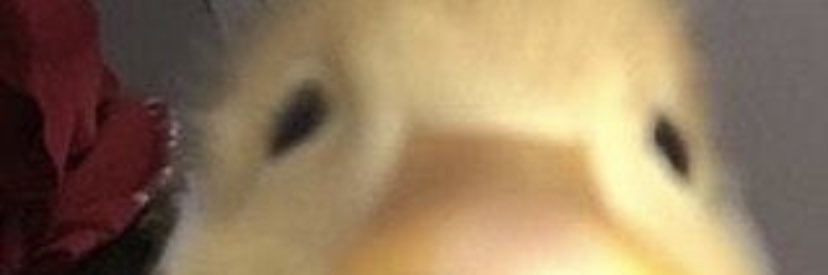 Maria_isso_cool's profile banner image