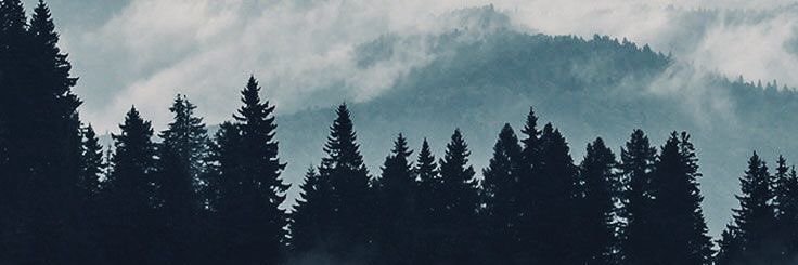 _chrxsssy's profile banner image