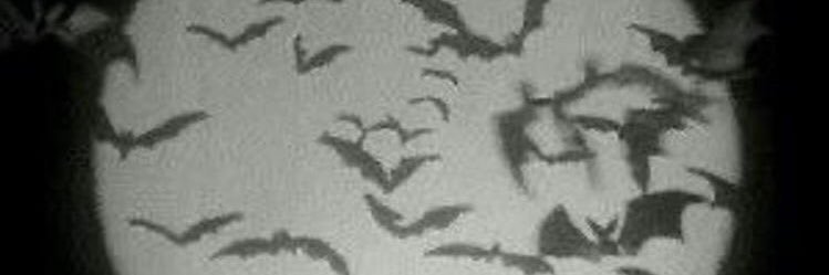4ugustto's profile banner image