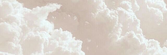 StineViuff's profile banner image