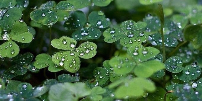 Magaly Castillo banner