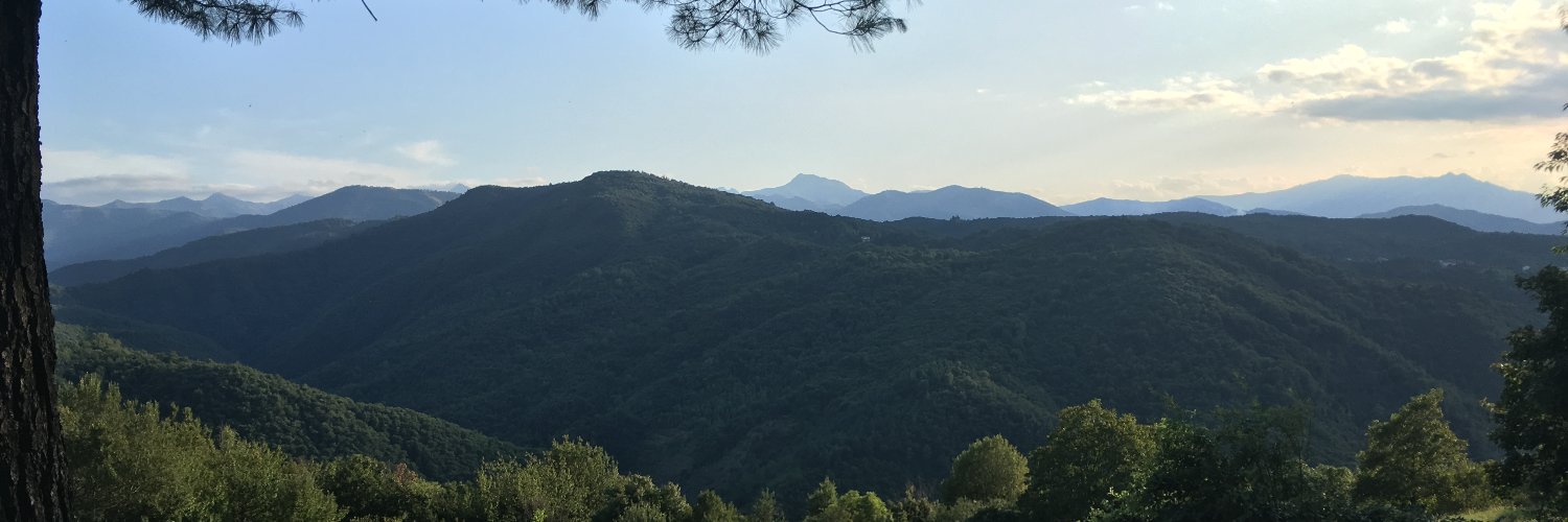 trillygi's profile banner image