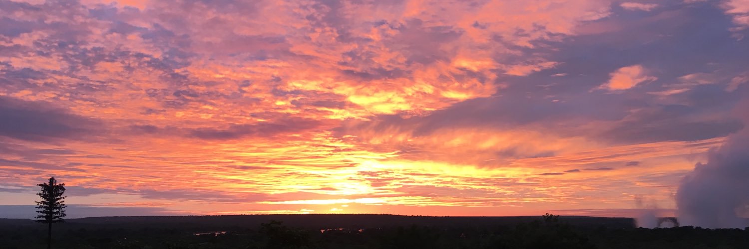 🍵うにゃ🍵🌈🐝 banner