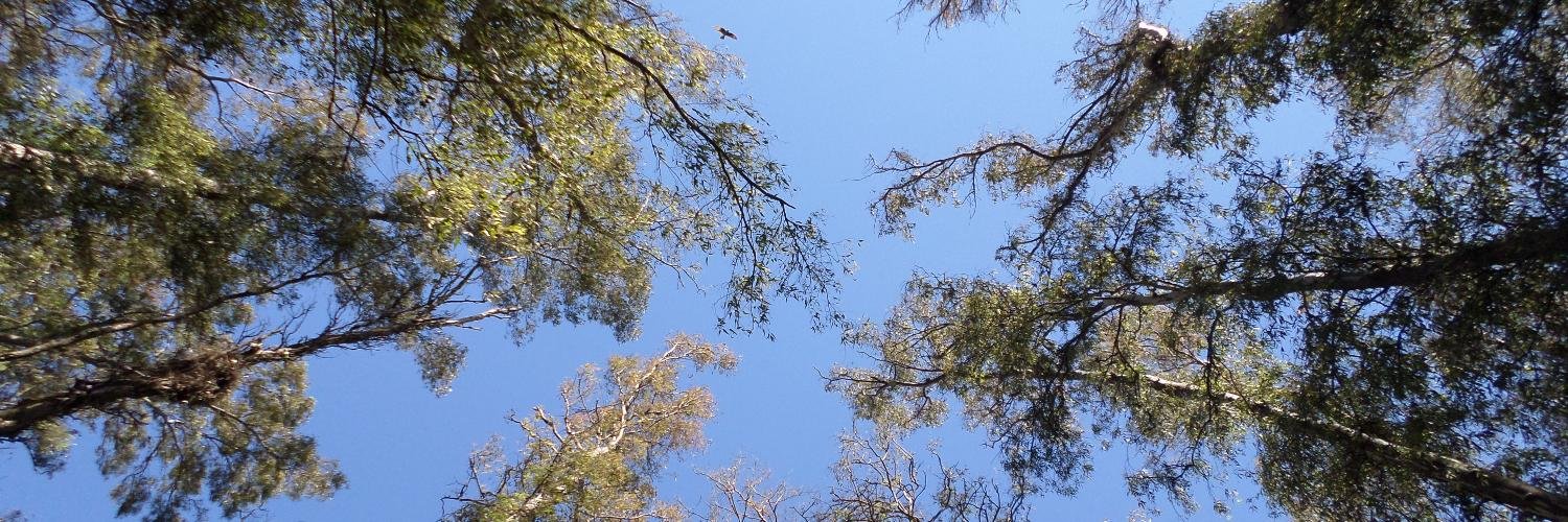 pabloromancasto's profile banner image