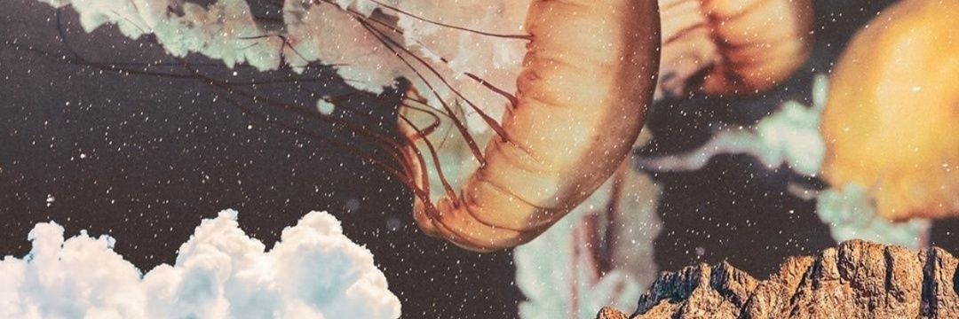 NeeMarce's profile banner image